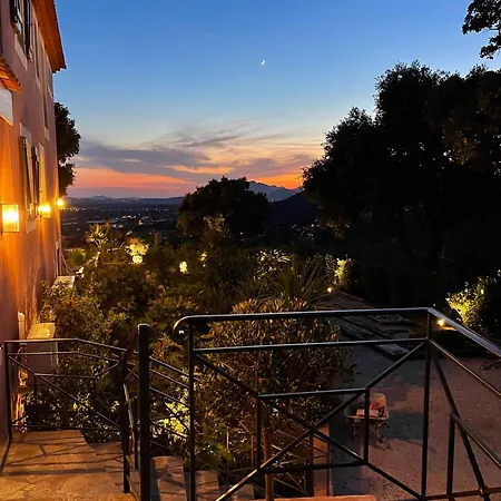 Luxueuse Maison Dans Les Arbres 4 Etoiles - Clim-wifi-parkings * Hyères