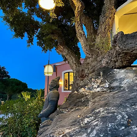 Luxueuse Maison Dans Les Arbres 4 Etoiles - Clim-wifi-parkings Villa Hyères