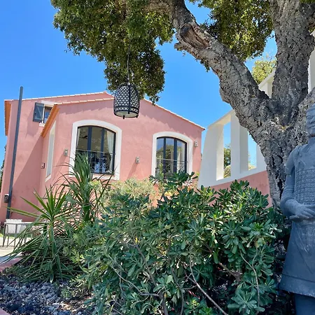 Villa Luxueuse Maison Dans Les Arbres 4 Etoiles - Clim-wifi-parkings Hyères