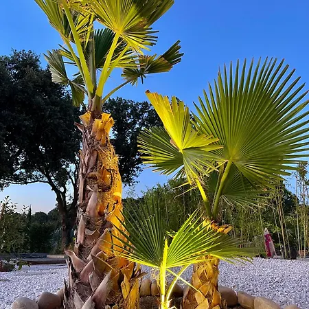 Luxueuse Maison Dans Les Arbres 4 Etoiles - Clim-wifi-parkings فيلة Hyères